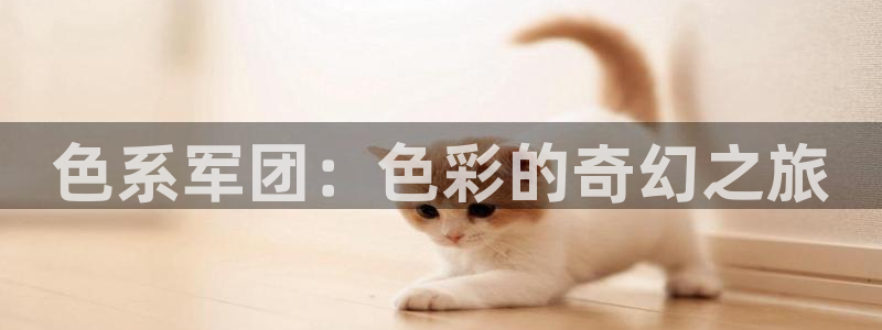 包子漫画谢绝当鹊桥