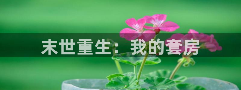 定风波包子漫画