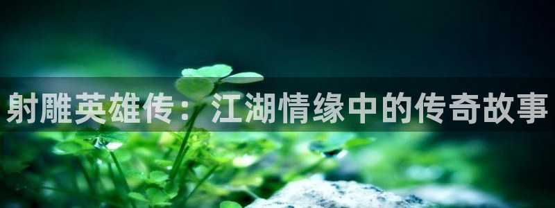 小蘑菇漫画免费下拉漫画包子漫画